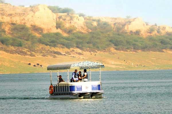 Chambal Gharial Sanctuary wildlife