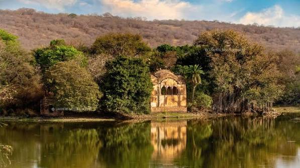 Ranthambore Zone 3 safari ruins