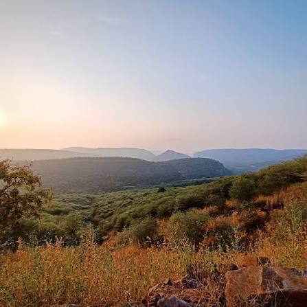Ranthambore Zone 7 buffer zone Aravalli hills